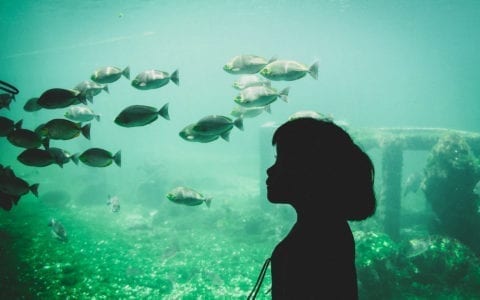 Lisboa com crianças