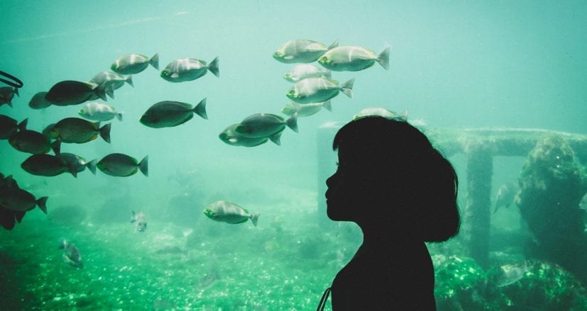 Lisboa con los niños